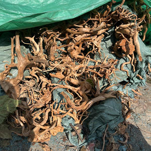 <span class=keywords><strong>Aquarium</strong></span> Visbak Fijngeworteld Landschapsaanleg Spinnehout Drijfhout - Product Image 4