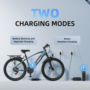 Aairsk Ready to Ship S800 Bike 250W <b>36V</b> 13Ah <b>Battery</b> Delivery Bike S800 250W Brushless Motor Delivers Powerful Performance for S - Product Image 5