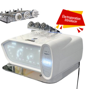 Không xâm lấn Kim Miễn phí Mesotherapy da bản chất giới thiệu Electroporation máy trên khuôn mặt - Product Image 5