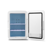 Petit réfrigérateur personnalisé, 10l, pour soins cosmétiques, pour maquillage, beauté de la peau, avec lumière LED, miroir, 12v