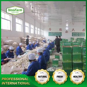 Tỏi Tươi Cây Trồng Mới Bình Thường Trắng Và Tinh Khiết Trắng Cung Cấp Từ Trung Quốc Nhà Máy Tỏi Với Chất Lượng Cao Tỏi - Product Image 6