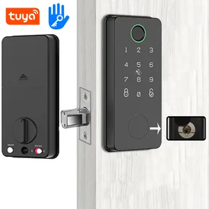mortise 60/70 deadbolt smart door lock with fingerprint tuya wifi ttlock