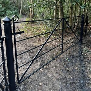 Ограждение национального парка ограждение для общественного сада ограждение декоративное стальное поручень ирландского английского палисада - Product Image 3