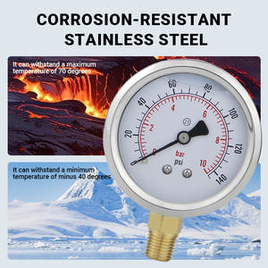 เกจวัดแรงดันไฮดรอลิกแบบทนการสั่นสะเทือนขนาดใหญ่ 62.5 มม. ข้อต่อทองเหลือง แบบเติมน้ำมัน - Product Image 1