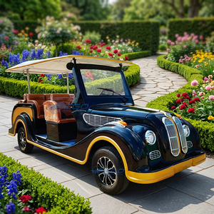 Voiture de luxe classique, buggy, voiture de classe, chariot électrique de tourisme pour visites de ville, pièces de voiture classiques/pièces de voiture vintage - Product Image 1