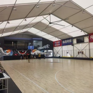 Carpa de 30x50m con Estructura de Aluminio para Actividades Deportivas, Fiestas, Eventos, Espectáculos, en Venta, Carpa Transparente - Product Image 4