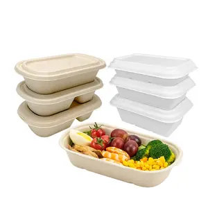 Disposable Sugarcane Tableware Bagasse Products Pulp Molding Heat Resisting Microwaveable Take Out Food Container