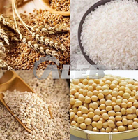 Machine à éplucher le riz, le blé, le sésame, multifonction