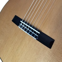Aiersi Brand Professional Guitar 7-strings Classical Guitar Solid Musical Instruments