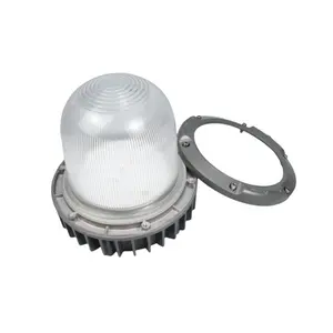 60W 50W ATEX Explosion Proof Pendant Light With Glass Globe for Power Generation