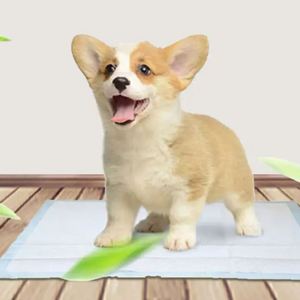Produits Innovants pour Animaux de Compagnie 2025 – Coussinets d'Entraînement Jetables de Haute Qualité pour Oiseaux et Perroquets – Couches pour Animaux à Prix Compétitif 33*45 45*60 - Product Image 1