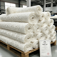 Tissu en dentelle crochetée florale transparente, broderie ajourée, 100 % polyester, léger, pour vêtements, vente en gros directe usine