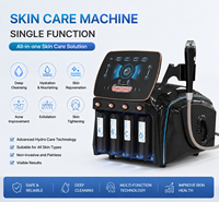 Appareil portable professionnel en acier inoxydable à écran tactile pour le nettoyage du visage, l'hydrodermabrasion rotative et le rajeunissement cutané