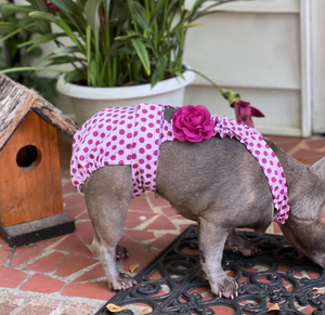 Pañal Lavable para Perra con Orificio para la Cola, a Prueba de Fugas, Ultra Absorbente |   Perfecto para guerreros de la INCONTINENCIA y la DISURINA INCONTINENTE - Product Image 5