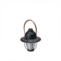 Nouvelle Arrivée Lampe d'Ambiance LED Suspendue Rechargeable Rétro Étanche IP67 pour Camping et Extérieur, Couleur Noisette