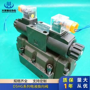 Vanne directionnelle électro-hydraulique Dshg 04 2b2 2b3 2b4 2b40 en acier allié, 60 L/min, 315 bars, pour fluide huileux - Product Image 1