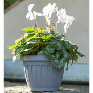 Vaso per Fiori in Plastica Infrangibile Resistente ai Raggi UV con Sottovaso, Vaso per Piante Rotondo Resistente alle Intemperie per Interni ed Esterni con Drenaggio dell'Acqua - Product Image 5