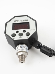 Manómetro digital octogonal de PP para Europa, con carcasa y conector WT1350, marca <span class=keywords><strong>SNT</strong></span>, 1 año de garantía - Product Image 4