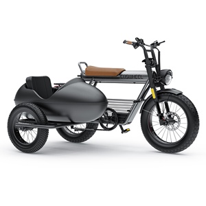 COSWHEEL CT20S/CT20 1000W Fat Tire Triciclo eléctrico <span class=keywords><strong>Sidecar</strong></span> <span class=keywords><strong>E</strong></span>-<span class=keywords><strong>bike</strong></span> Carry Pets Three Wheel Pedal Assist 1500W Road Ebike <span class=keywords><strong>Sidecar</strong></span> - Product Image 2