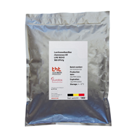 Poudre Probiotique THT Lactobacillus rhamnosus GG LMG 18243 THT 030905 Poudre Probiotique 10-400 UFC/g Complément Alimentaire