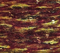 Fil de cachemire Rongrun mélangé avec du fil d'or 1/2.2NM 42% cachemire 36% polyester 9% nylon 13% soie de mûrier en tube