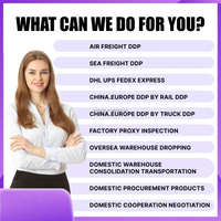 Mejor Servicio DDP, Transporte Aéreo, Agente de Envío Exprés DHL/UPS/FedEx, de China a EE. UU., Canadá, Reino Unido, Francia, España, Emiratos Árabes Unidos, Transitario Logístico