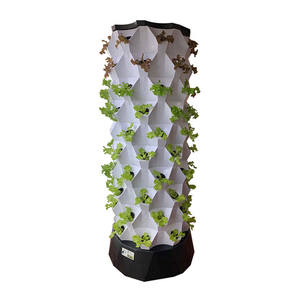 Invernadero hidropónico FM, sistema de cultivo de plantas de interior, torre vertical, hidropónica - Product Image 3