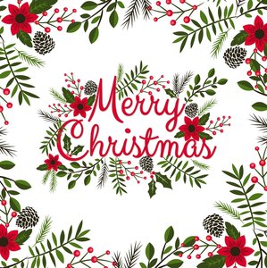 Serviettes <span class=keywords><strong>de</strong></span> Cocktail <span class=keywords><strong>de</strong></span> <span class=keywords><strong>Noël</strong></span> 13 "x 13" <span class=keywords><strong>Serviette</strong></span> <span class=keywords><strong>en</strong></span> <span class=keywords><strong>papier</strong></span> imprimé Serviettes <span class=keywords><strong>de</strong></span> <span class=keywords><strong>sapin</strong></span> <span class=keywords><strong>de</strong></span> <span class=keywords><strong>Noël</strong></span> d'hiver pour le dîner Fournitures <span class=keywords><strong>de</strong></span> décoration <span class=keywords><strong>de</strong></span> <span class=keywords><strong>Noël</strong></span> - Product Image 2