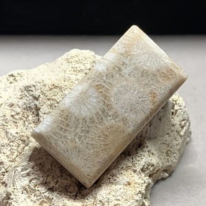 Colgante Esférico de Piedra de Coral Natural Pulido a Mano de Alta Calidad al por Mayor, Feng Shui para Decoración del Hogar y Regalos de San Valentín - Product Image 2