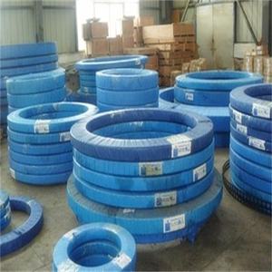 LYJW Bantalan Putar Diameter Besar untuk Peralatan Berputar Luas di Taman Bermain Luar Ruangan EB1.25.1155.200-1STPN - Product Image 6