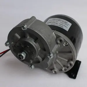 mattting motor Suppliers-ZY1016Z 350W 310rpm brushed lawn mower electric motor 24V