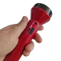 Lampe torche rechargeable par USB 8676 Bangladesh Pakistan avec batterie au lithium à vendre