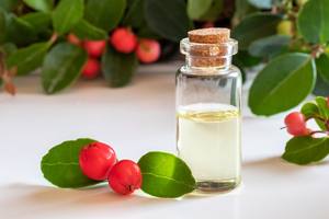 Fournisseurs d'huiles essentielles Vente en gros Prix en vrac <span class=keywords><strong>Huile</strong></span> de salicylate de méthyle <span class=keywords><strong>Huile</strong></span> <span class=keywords><strong>essentielle</strong></span> de gaulthérie 100% pure - Product Image 3