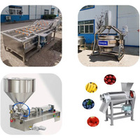 RVS Tomatenpuree Sauzenverwerkingslijn Fruit Groente Ketchup Productiemachine Fabrieksprijs