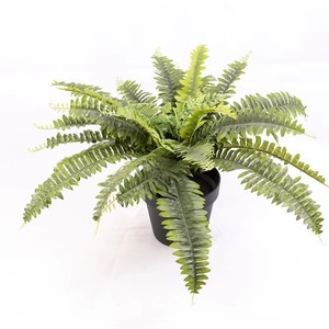 Faux fougère de Boston Offre Spéciale en pot pour la maison ou l'extérieur <span class=keywords><strong>plante</strong></span> artificielle pour le jardin ou le salon décoration tissu matériel - Product Image 4