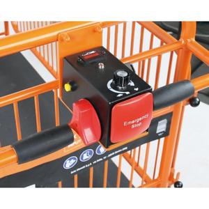 BETA-Carro de PLATAFORMA ELÉCTRICA 048000230 ''Brutus'' con paneles-TALLERES EAN 8054809213873 ROLLING - Product Image 2