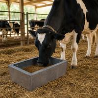 Mangeoire rectangulaire pour bétail avec bord pliable, conteneur d'alimentation pour bovins et veaux