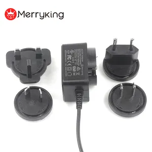 Plug Input Yang Dapat Dipertukarkan 100-240V 12V 1a 1,5a 2a 2.5a 3a Adaptor Tiup Ce Bersertifikat 12W 24W 2,5 A Steker Adaptor