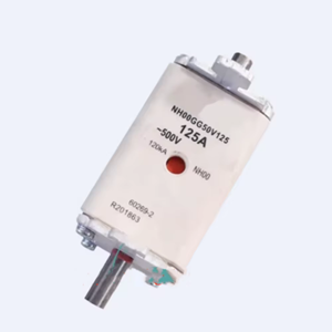 NH00GG50V125/R201863 125A/500V NH00GG50V160/P211084 160A/500V Neuf, Fusible - Product Image 3