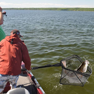 Filet de pêche <span class=keywords><strong>télescopique</strong></span> Portable à la <span class=keywords><strong>truite</strong></span> avec poignée pliable filet de pêche en Nylon Durable - Product Image 6