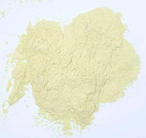 Bubuk Ekstrak <span class=keywords><strong>Chlorella</strong></span> (Faktor Pertumbuhan <span class=keywords><strong>Chlorella</strong></span> CGF ) OD1200 - Product Image 3