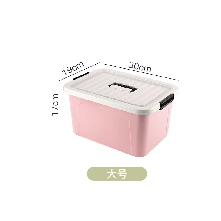 Pink-10L