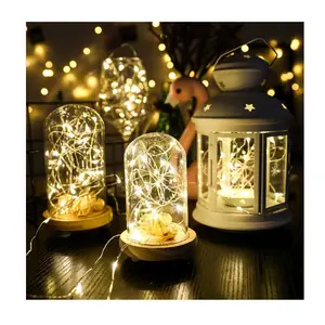 Zhihui Copper Line Twinkle Christmas Outdoor String Led Fairy Lights Suppliers