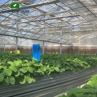 Serre en film plastique à arches multiples GT pour tomates et fraises