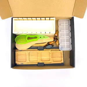 Molde de rodillo de Sushi, herramienta de palillos de cortina, Kits de fabricación de Sushi