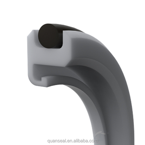 Quanseal PTFE dầu con dấu-Mô hình wlh - Product Image 2