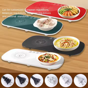 2024 placa de calentamiento todo en uno Termorregulación de calor rápido arroz hogar multifuncional calefacción eléctrica almohadilla vegetal placa térmica - Product Image 2