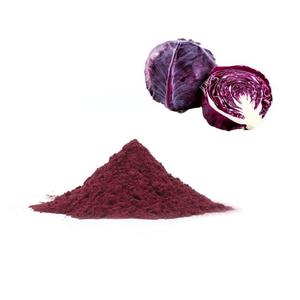 Grosir penjualan terbesar 100% bubuk jus kubis ungu murni - Product Image 5