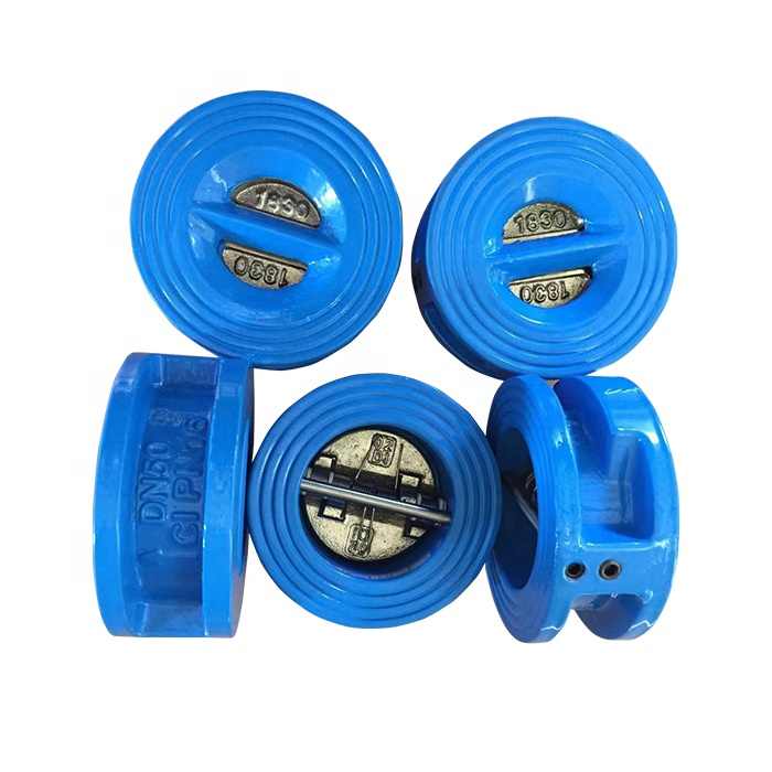 DN50 small ductile cast iron wafer type single disc check valve