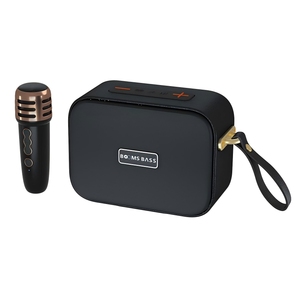 Xách tay m2101 không dây cho Bluetooth Karaoke loa với HI-FI loa siêu trầm Microphone ABS và vật liệu da cho máy tính sử dụng - Product Image 1
